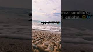 Whatsapp & İnstagram --Durum Videoları