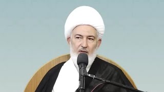 ماهي الحصانة الاكيدة في مقابل هذه التيارات والانحرافات؟ سماحة الشيخ فاضل الصفار.
