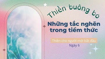 THIỀN CHO NGƯỜI MỚI BẮT ĐẦU - THIỀN BUÔNG BỎ TẮC NGHẼN TRONG TIỀM THỨC - Ngày 6// Quins Town