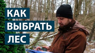 Как выбрать лес? Покупка леса в Литве. Осмотр и оценка леса.