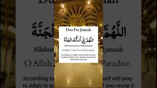 #allah #mohammad #deen#islam
