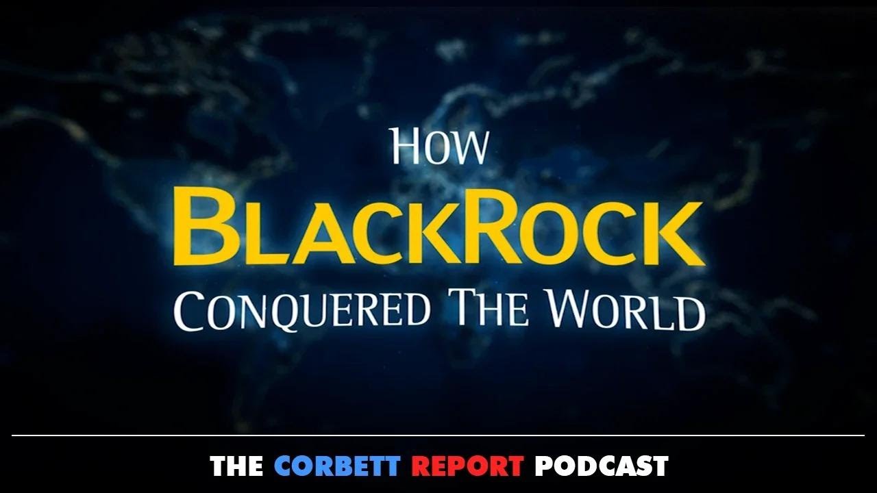 How BlackRock Conquered the World