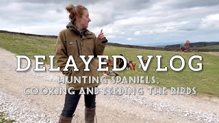 DELAYED VLOG! Hunting spaniels, cooking and feeding the birds 🐦‍⬛ #gundogs #wildlife #countrylife