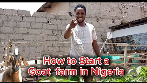 This is how to Start a Goat🐐 farm in Nigeria 