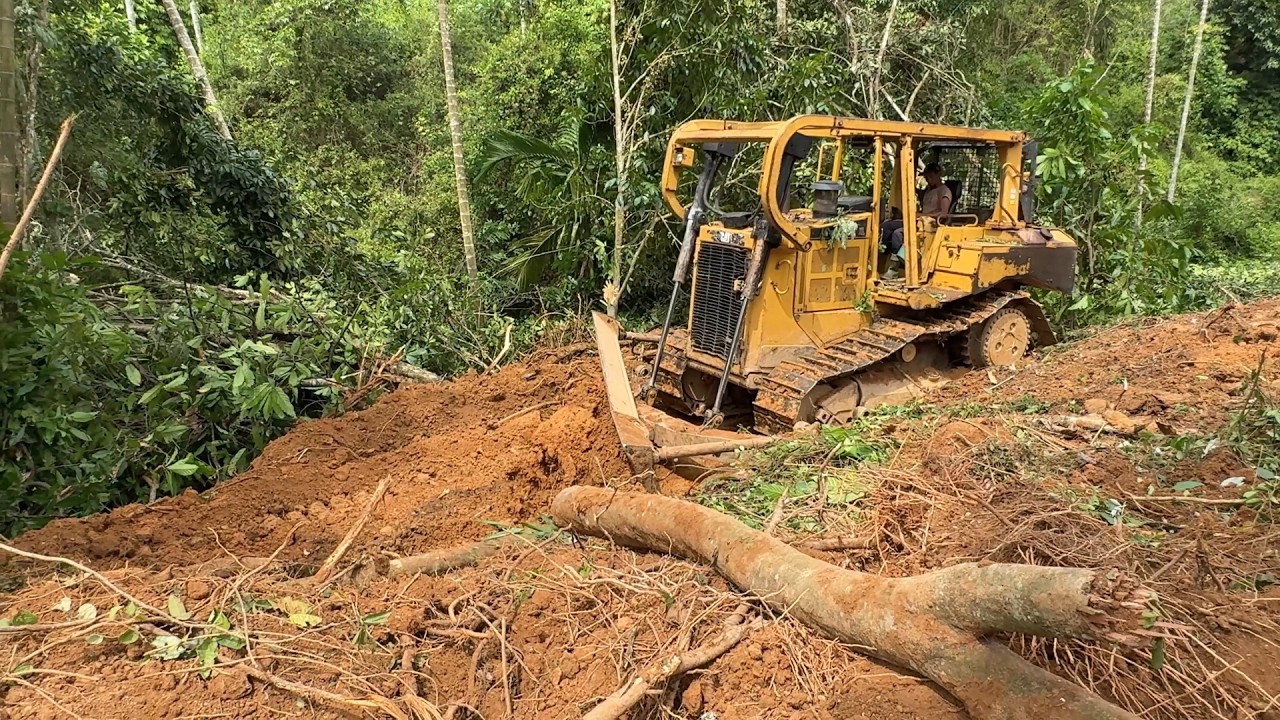 Project Opening a Terrace in an Oil Palm Plantation with a D6R XL Bulldozer