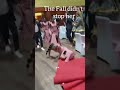 The Fall Didn T Stop Her Congolese Wedding Entrance Dance The Dance That Broke The Internet Bride