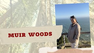 🌲 Lost Among the Giants | A Day at Muir Woods