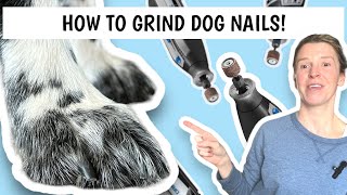 Nail Grinding 101: Expert Tips from a Professional Groomer