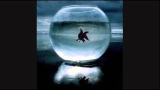 Meshell Ndegeocello ~ Aquarium chords