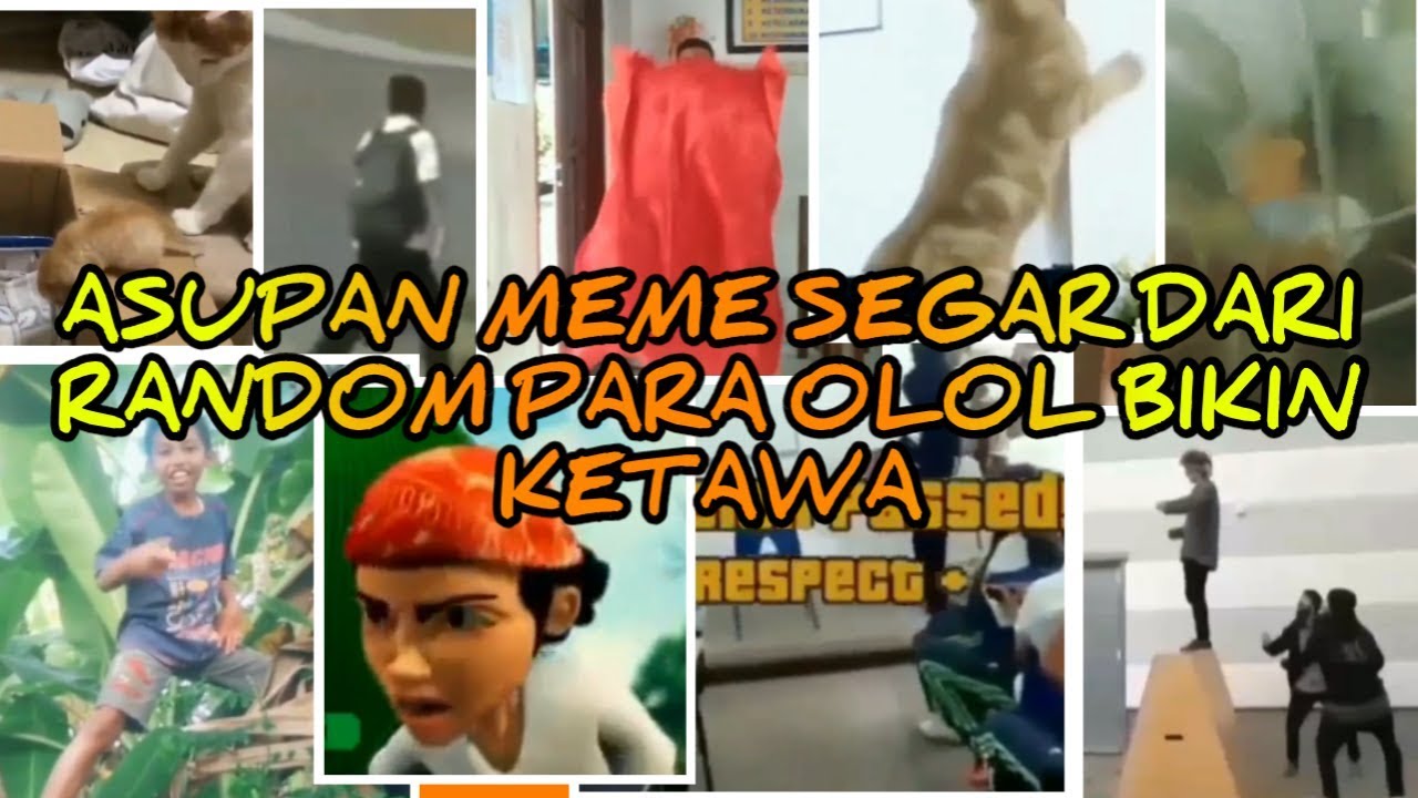 Asupan Meme Lucu Dari Random Para Tolol Bikin Ketawa Ngakak Youtube