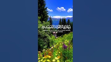 القران الكريم 🌺سورة الرحمن 🌺الشيخ عبدالباسط عبدالصمد