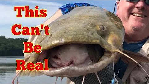 Is this Real? Do River Monsters exist? You watch t...