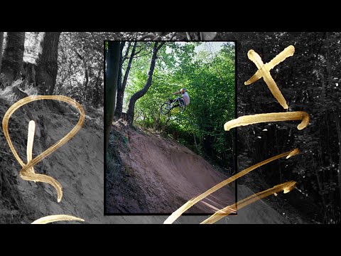 Turning forest into
