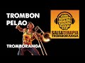 Miniature de la vidéo de la chanson Trombon Pelao
