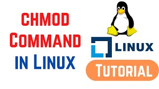Linux Command Line Basics Tutorials - How to Use the chmod Command on Linux