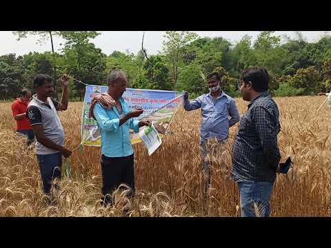 soil Health Card demonstrations plot inspection