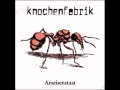 Knochenfabrik - bring dich um(lyrics)