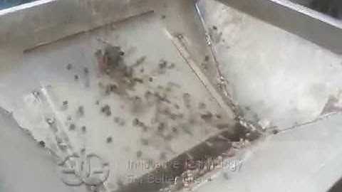 Hazelnut Cracker|Hard Shell Nut Shell Cracking machine From Cara@machinehall.com