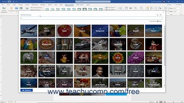 Word 2019 and 365 Tutorial Using Picture Tools Microsoft Training