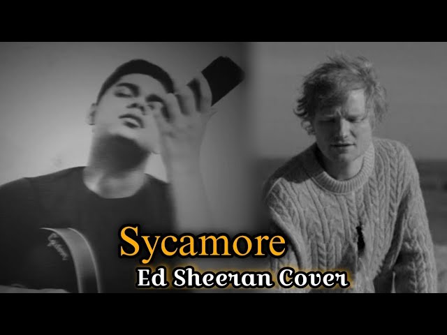 Ver Sycamore (Ed Sheeran Cover) ~ Arrow. #arrow #edsheeran #sycamore #autumn #substract #cover #love no YouTube Ver Sycamore (Ed Sheeran Cover) ~ Arrow. #arrow #edsheeran #sycamore #autumn #substract #cover #love no YouTube