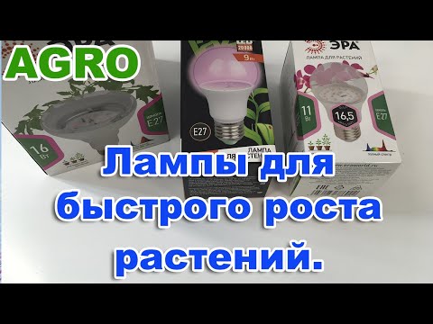 Обзор.  Лампы