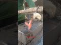 palm axe making process #reels #wood #reelsvidio #usa
