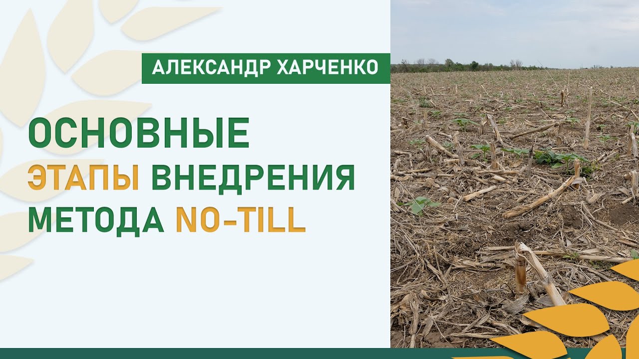 Основные этапы внедрения метода NO-TILL | Александр Харченко
