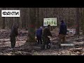 🌳🌳 Українці садять ЛІС на Волині - як відновлюють зелені легені України