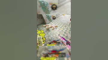 New S5 reloaded double SMG meta #rebirthisland #warzone #callofduty #loadout #warzoneclips