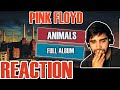 PINK FLOYD - ANIMALS 🐖 || FULL ALBUM || REACTION / REVIEW