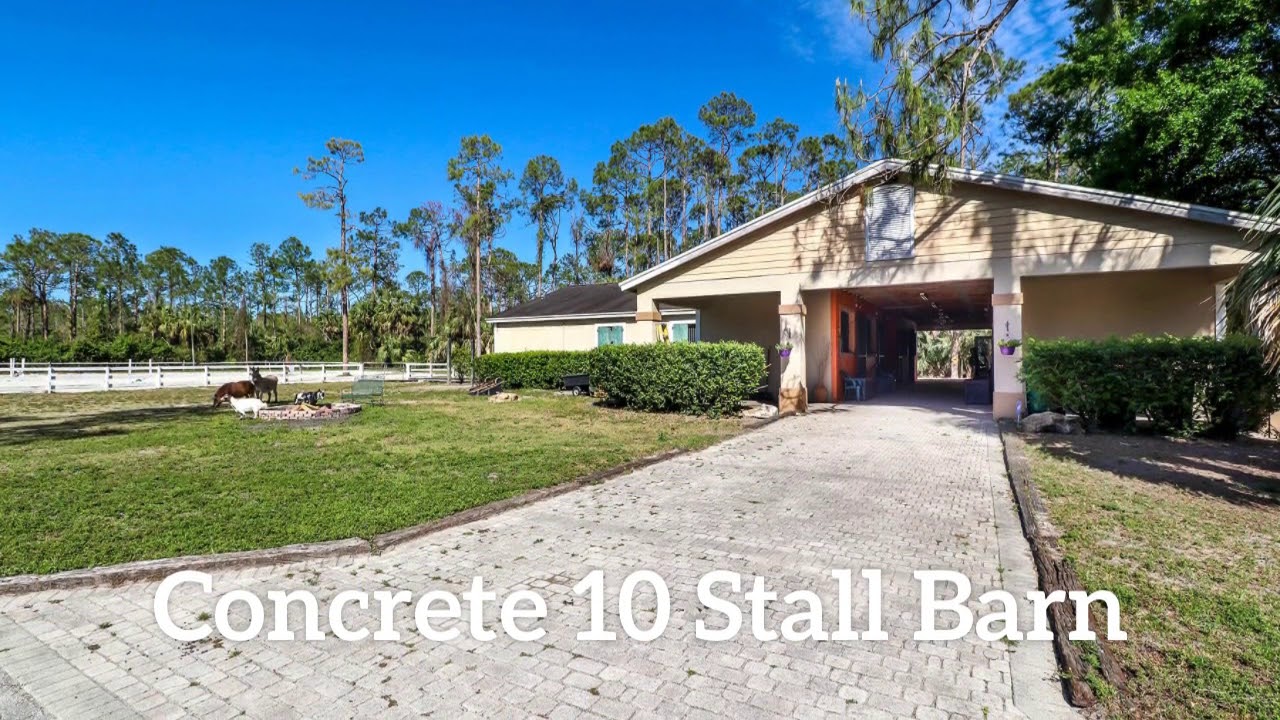 Unique Horse Ranch in Naples Florida YouTube