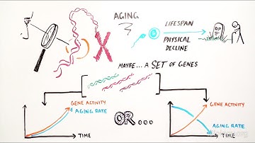 Genetics Of Aging - iBiology & Youreka Science