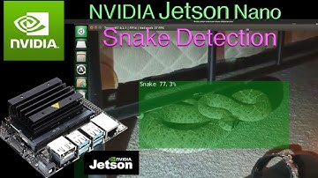 NVIDIA Jetson Nano Snake Detection ( SSDlite MobileNet V2 )