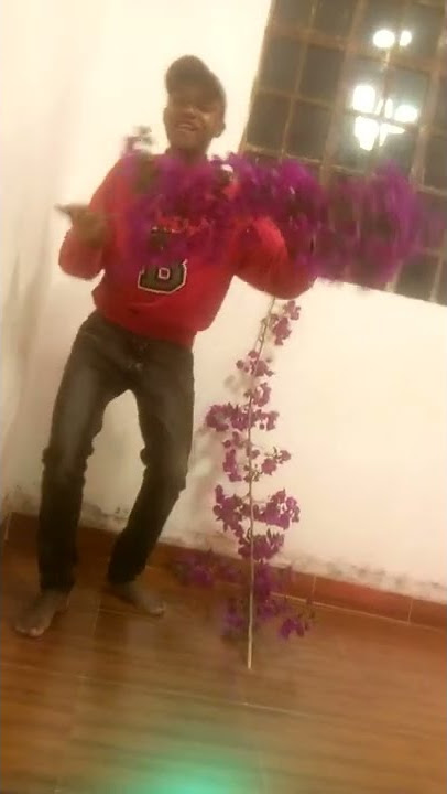 harusi maua