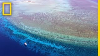 Explore One of the Most Pristine Coral Reefs in the World | National Geographic
