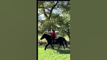 The power of tabar axe on horseback - this is Razmafzar #riding #horsemanship #history #axe