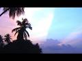 Lvis Boutique Hotel, Male City and Airport, Maldives | Travel With Medha