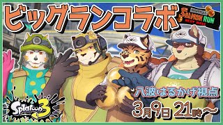 【スプラ3サーモンラン#6】◆初めてのビッグランコラボ◆【獣Vtuber/八波はるかげ】