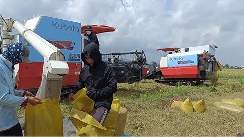 máy cắt mới mua ngài đầu cắt không cần người hứng tập 47 #maibangtv