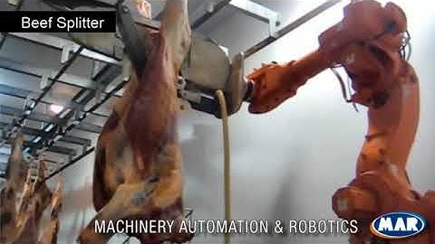 Scotts Automations Robotic Beef Carcass Side Splitter