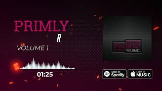 Celebrity R | Primly Vol.1 Net Worth