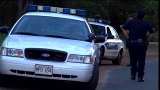 Woman Loses Arm in Maui Shark Attack