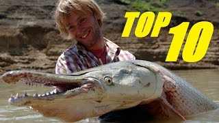 TOP 10 BIGGEST FRESHWATER FISH IN THE WORLD
