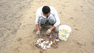 阿烽去海边搬石头，抓到六十多只螃蟹，回家全煮了七个人都吃不完