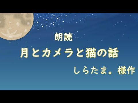 【おやすみ前の朗読】月とカメラと猫の話【作業用にも】