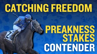 Preakness Stakes Contender: Catching Freedom