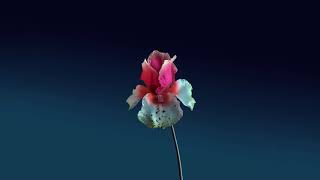 Flume - It's Our Time