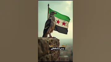 شد حيلك بلكي الله يعينك قصي العلي اكسبلور تصميمي لايك 