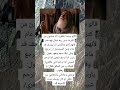 قال سيدنا يعقوب عليه السلام قال سيدنا يعقوب عليه السلام