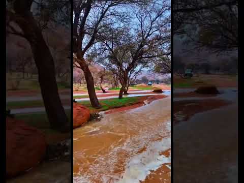 الحياهـ أيامها حلوهـ